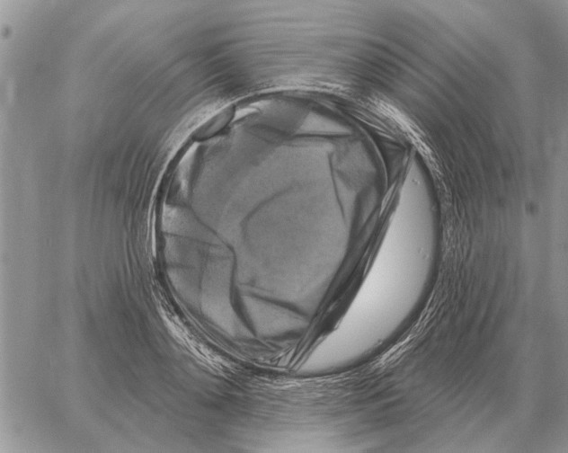 X0000058140892200510212108
