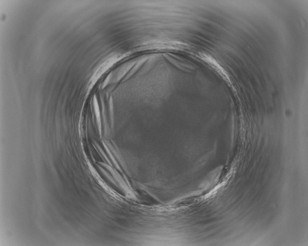 X0000058140893200510212108