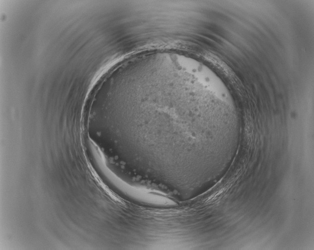 X0000058140894200510212108
