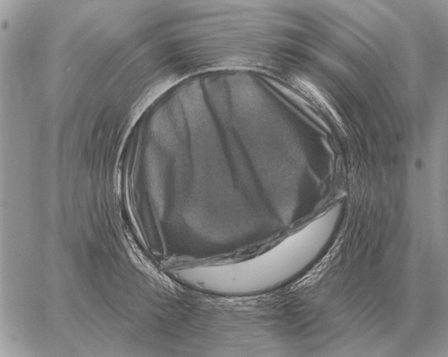 X0000058140900200510212108