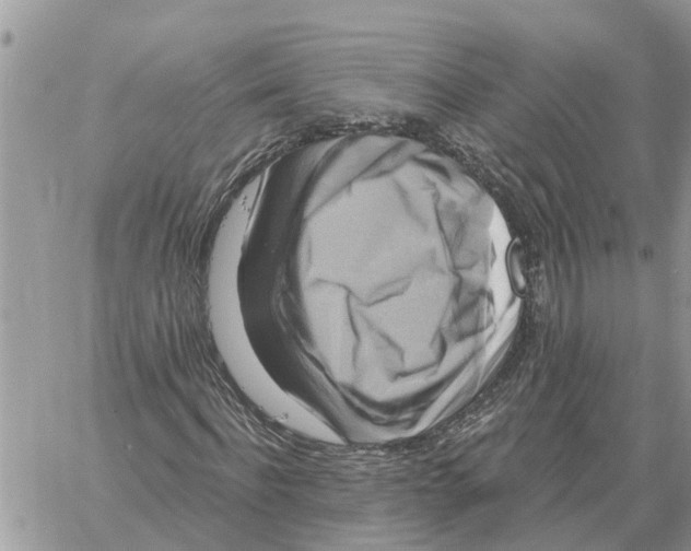X0000058140916200510212107