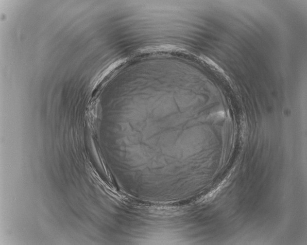 X0000058140921200510212107