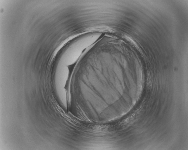 X0000058140923200510212107