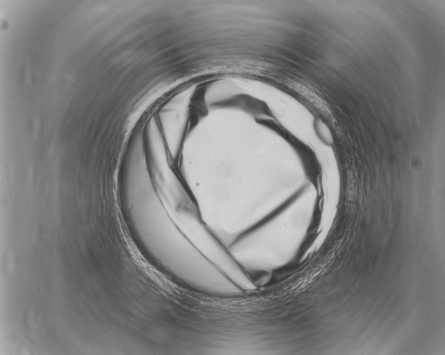 X0000058140936200510212107