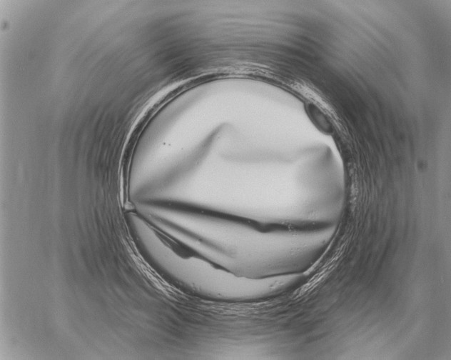 X0000058140940200510212107