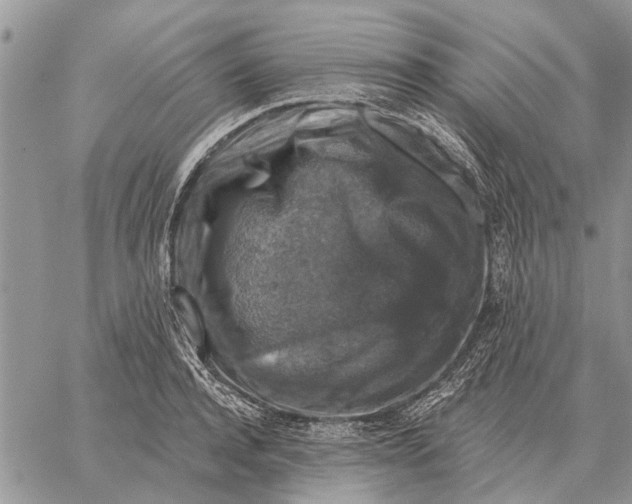 X0000058140944200510212107