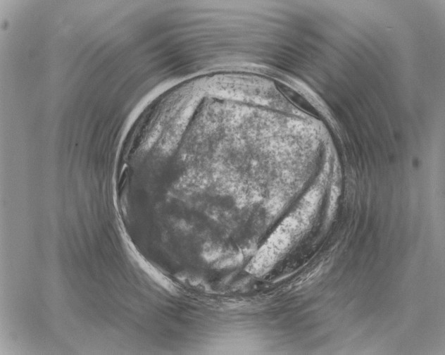 X0000058140955200510212107