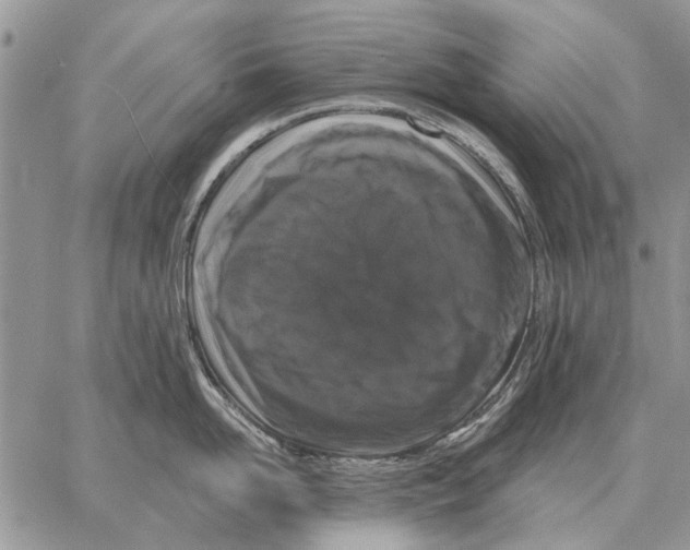 X0000058140958200510212107
