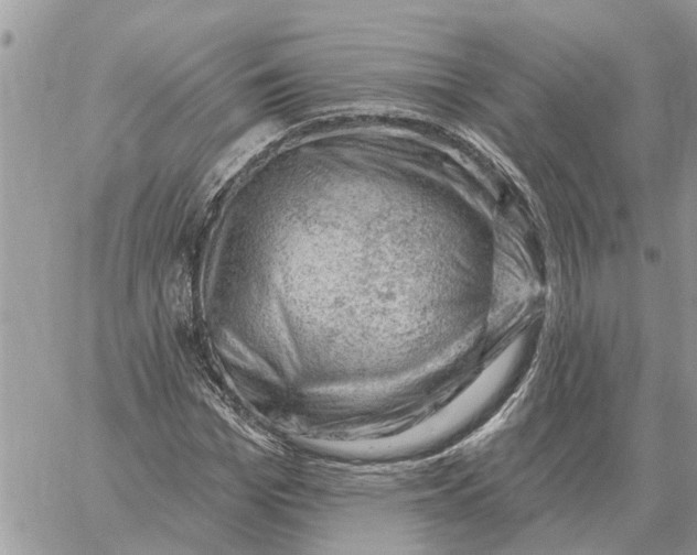 X0000058140969200510212107