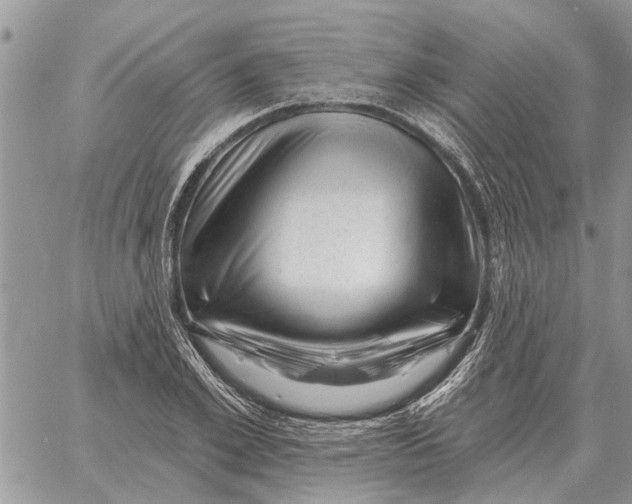 X0000058140981200510212106