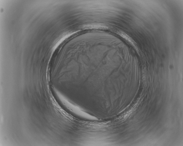 X0000058140983200510212106