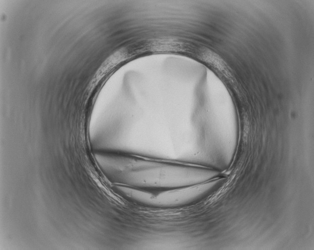 X0000058140986200510212106