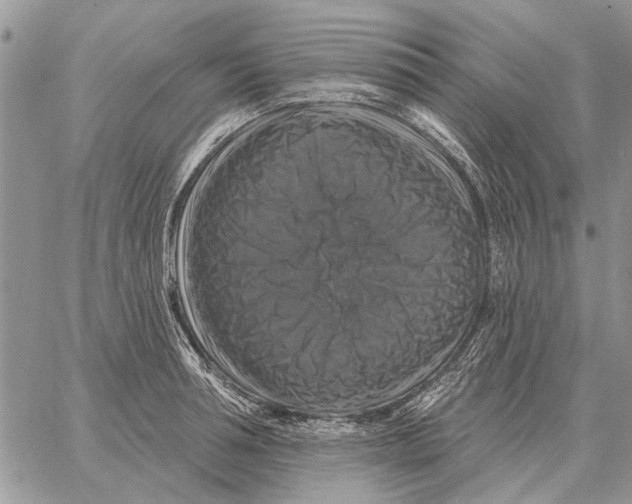 X0000058140994200510212106
