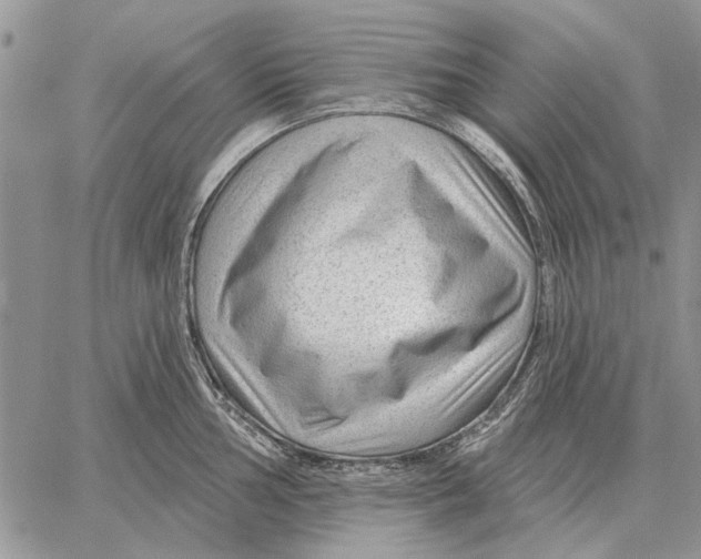 X0000058141002200510212106