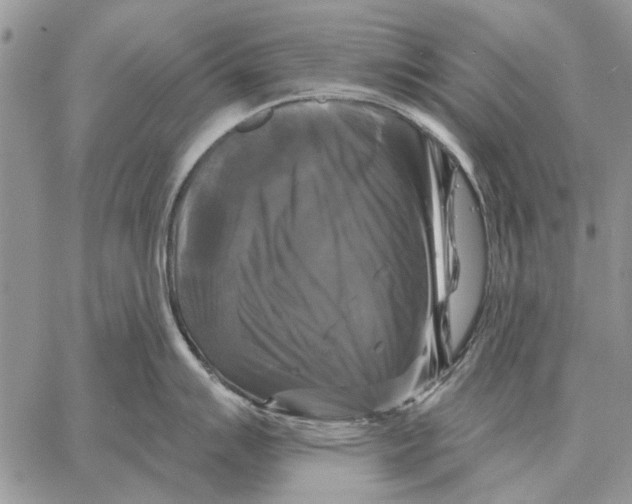 X0000058141007200510212106