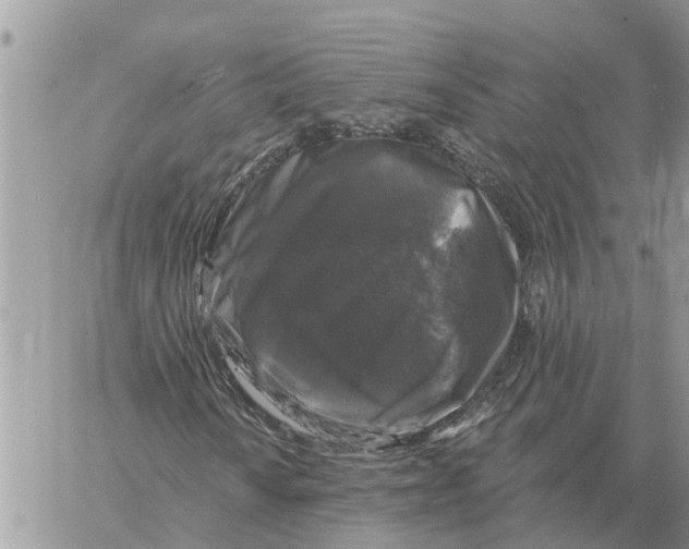 X0000058141010200510212105