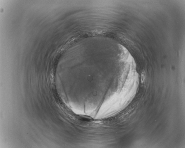 X0000058141011200510212105