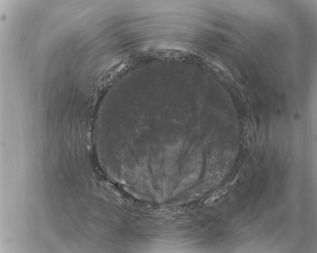 X0000058141013200510212105