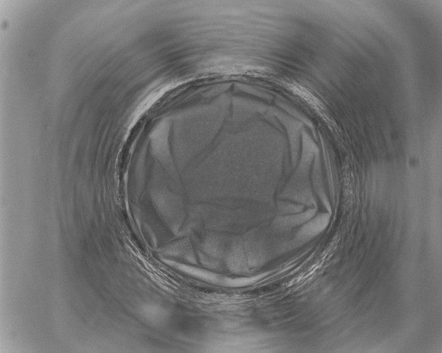 X0000058141023200510212105