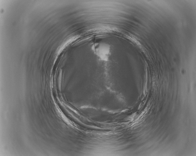 X0000058141034200510212106