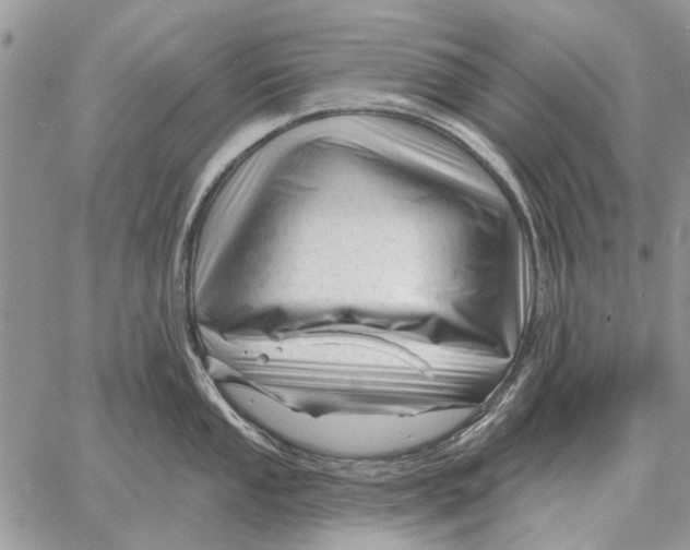 X0000058141053200510212106