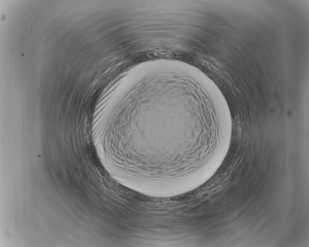 X0000058141060200510212105