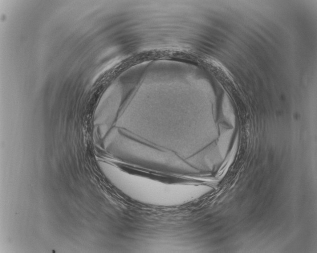 X0000058141064200510212105