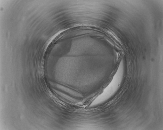 X0000058141068200510212105