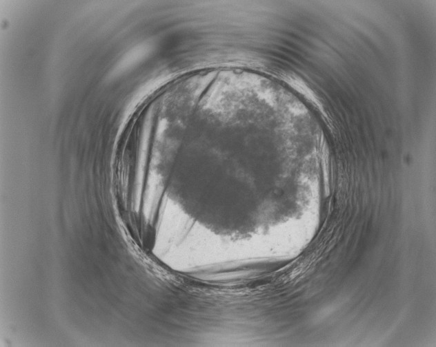 X0000058141088200510212105