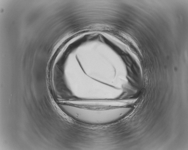 X0000058141091200510212105