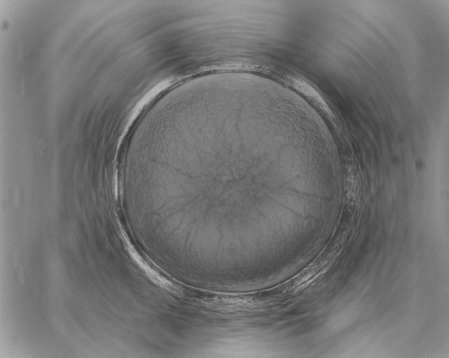 X0000058141095200510212104