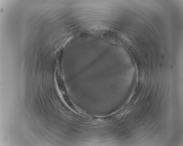X0000058141108200510212104