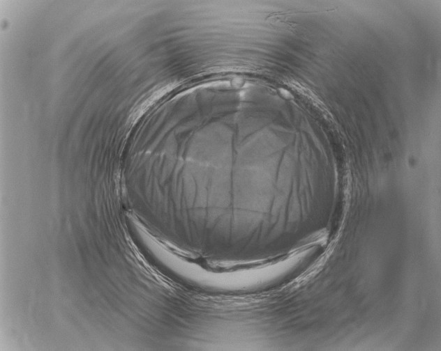 X0000058141121200510212104