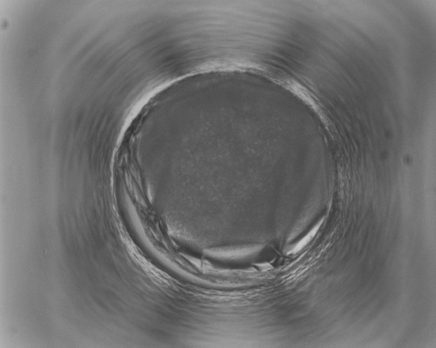 X0000058141124200510212104