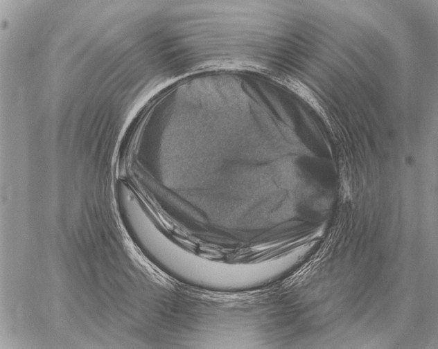 X0000058141132200510212104
