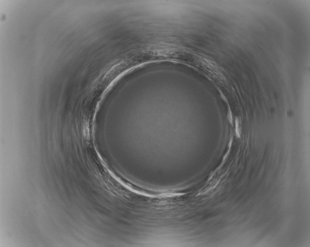 X0000058141155200510212103