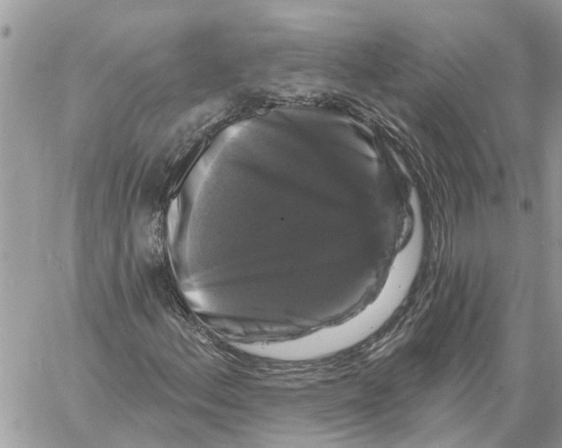 X0000058141156200510212103