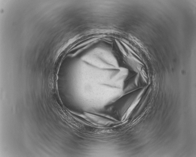 X0000058141165200510212103