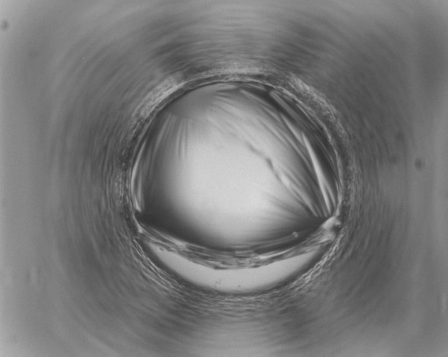 X0000058141169200510212103