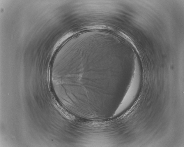 X0000058141179200510212103