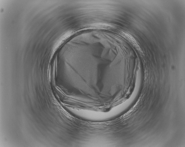 X0000058141180200510212103