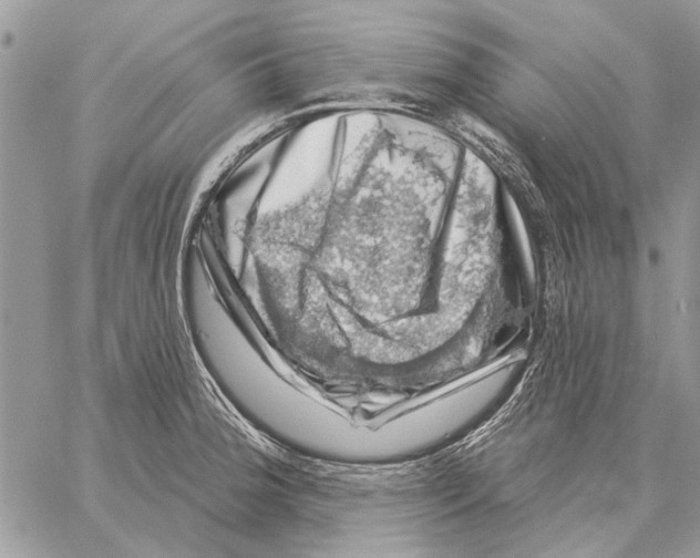 X0000058141188200510212103