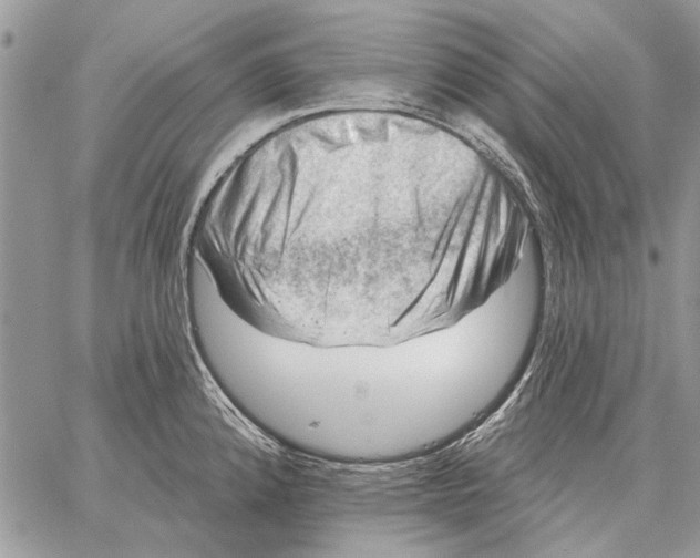 X0000058141192200510212103