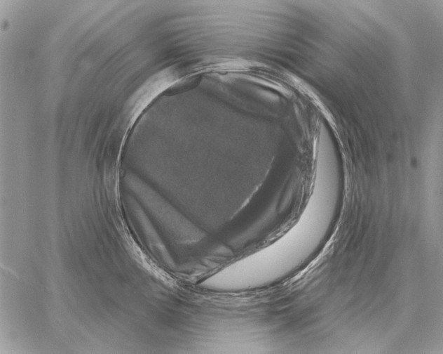 X0000058141194200510212103