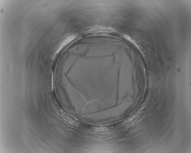 X0000058141219200510212102