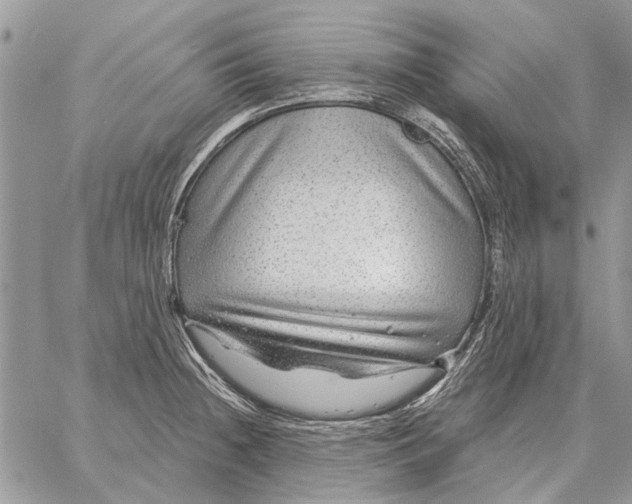 X0000058141236200510212103