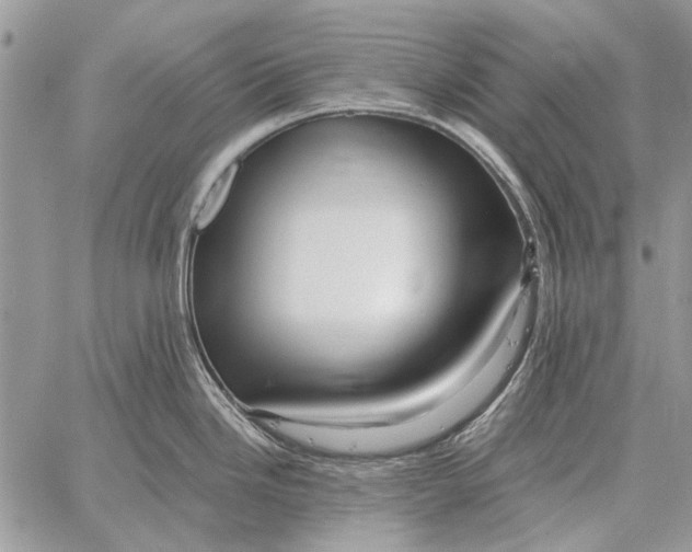 X0000058141246200510212103