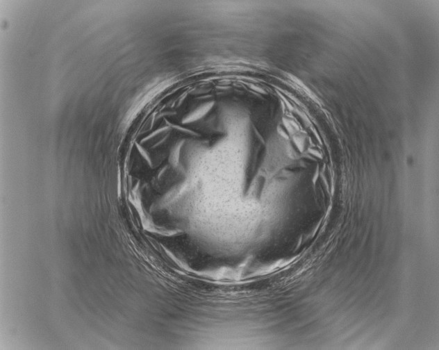 X0000058141269200510212102