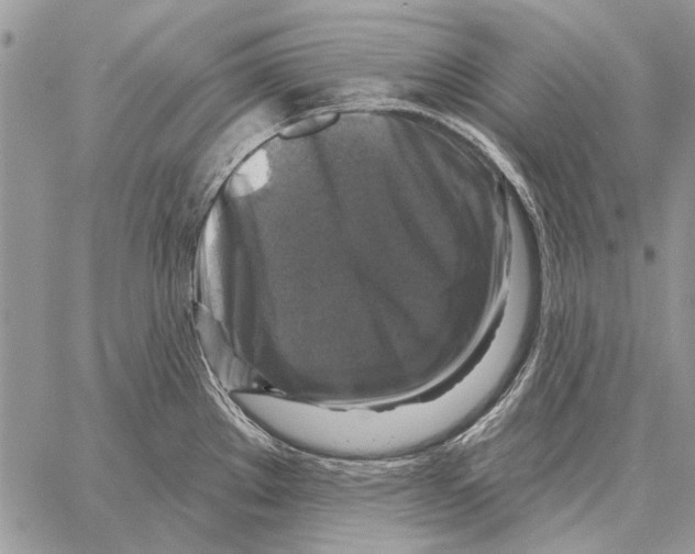 X0000058141289200510212101