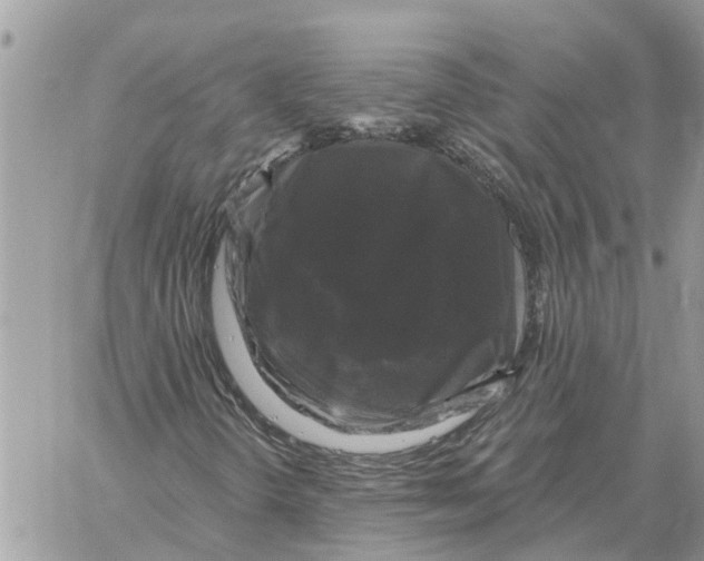 X0000058141298200510212100